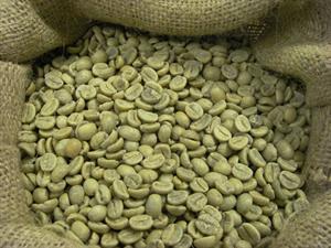 Columbia Excelso, Grønne Kaffebønner, 1000 gram